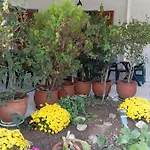 Διαμέρισμα Akrata Golden House 2 *