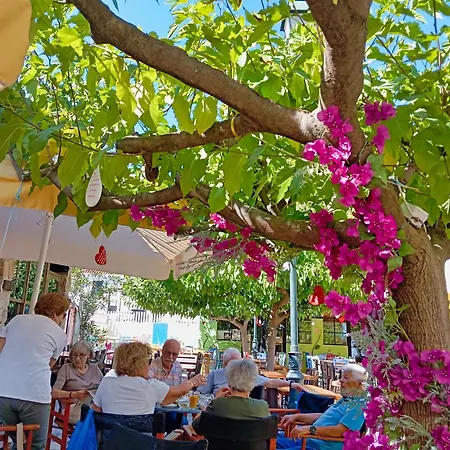 Akrata Golden House 2 Aigeira