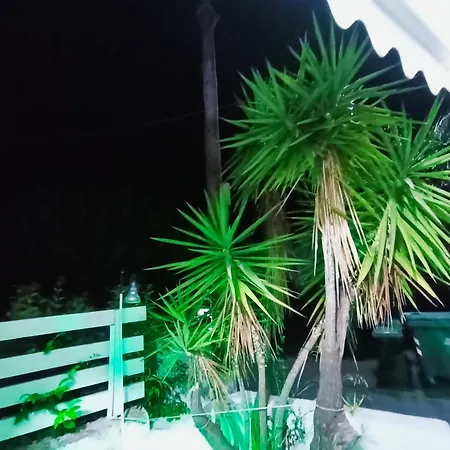 Akrata Golden House 2 Aigeira