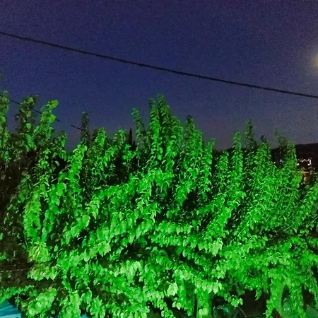 Akrata Golden House 2 Appartamento