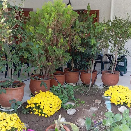 Daire Akrata Golden House 2 *