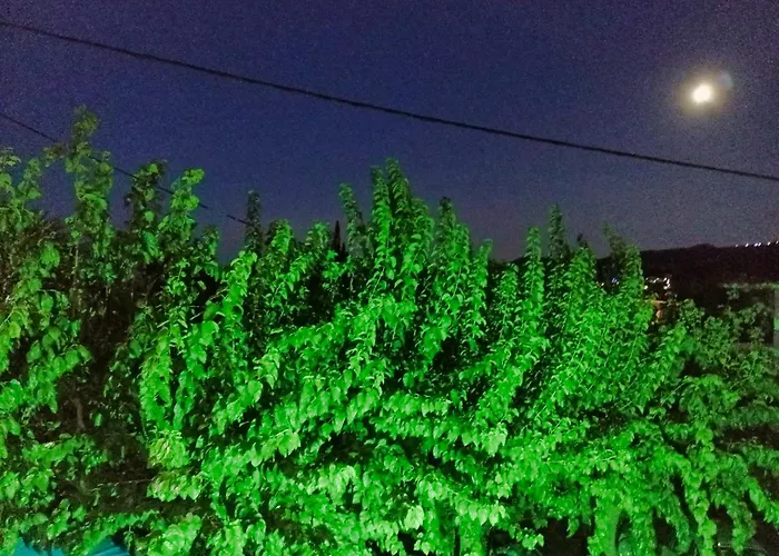 Akrata Golden House 2 Διαμέρισμα