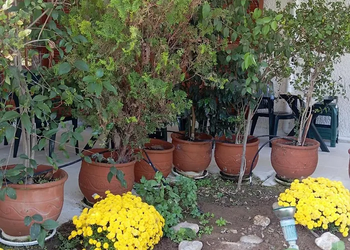 Apartman Akrata Golden House 2 *