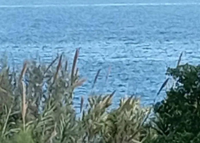 Akrata Golden House 2